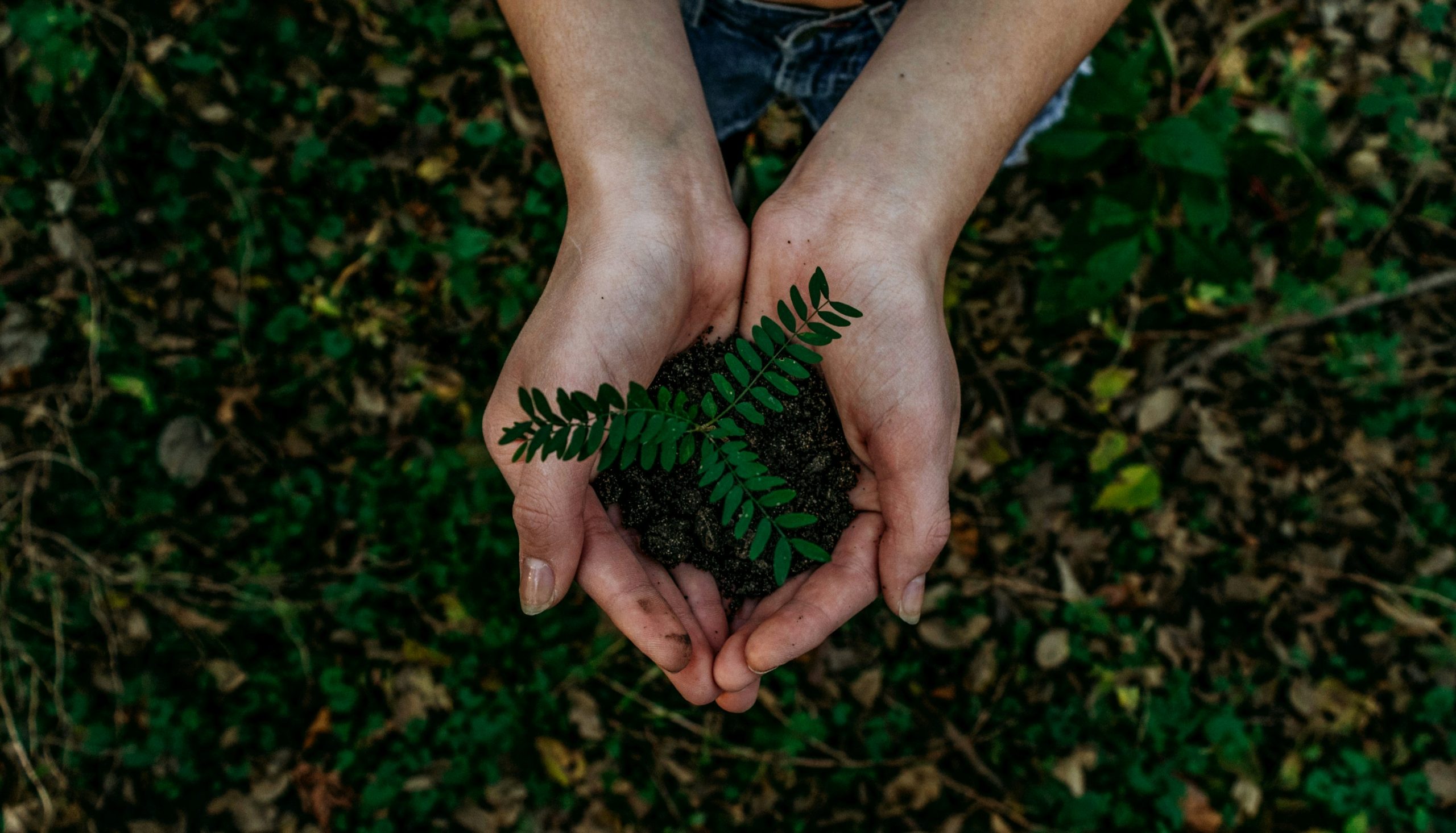 Communicating sustainability and avoiding buzzword bingo